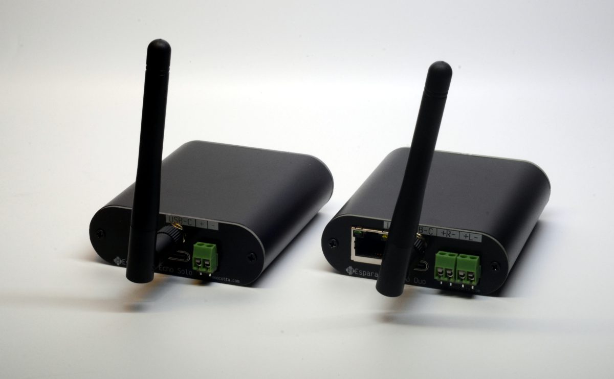 Esparagus Echo available at Elecrow